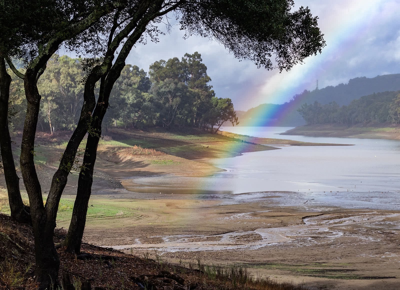 One chapter ends and a new one begins. A eulogy to my home in the Santa Cruz Mountains.